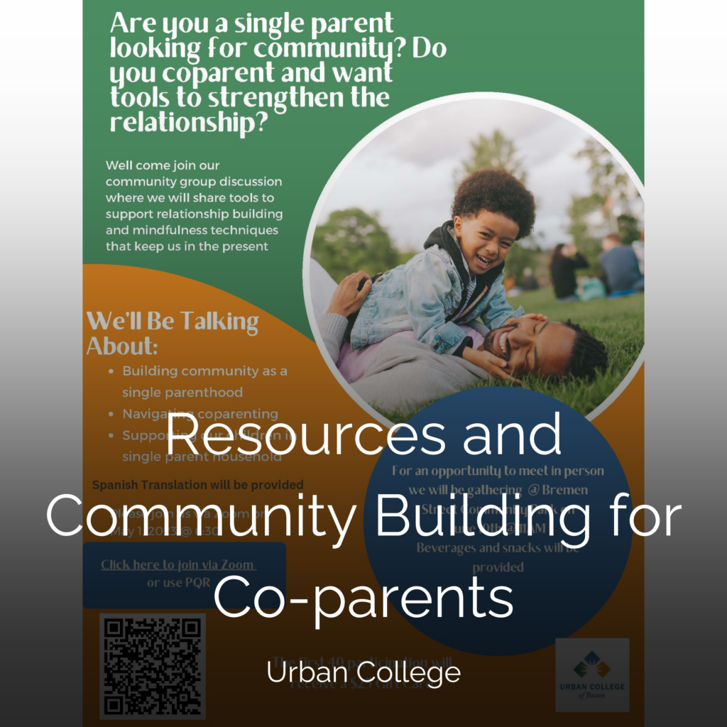 Community Impact Project - Families First